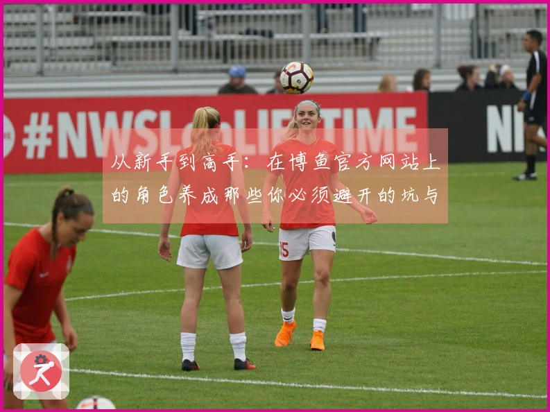 从新手到高手：在博鱼官方网站上的角色养成那些你必须避开的坑与经验分享