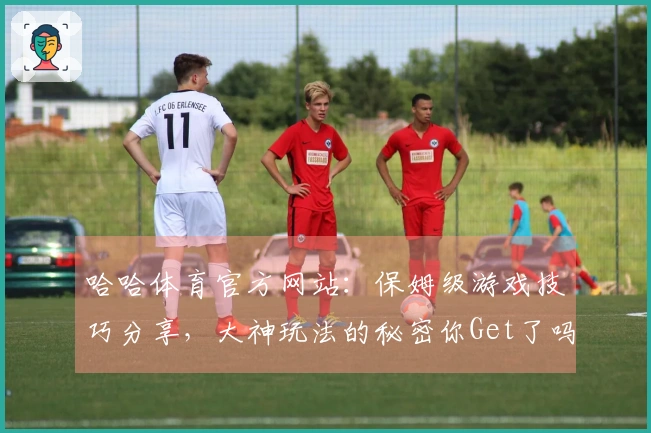 哈哈体育官方网站：保姆级游戏技巧分享，大神玩法的秘密你Get了吗？